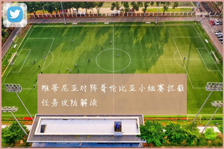 维蒂尼亚对阵哥伦比亚小组赛拦截任务攻防解读