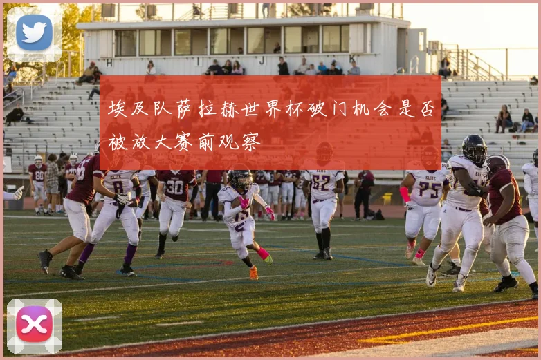 埃及队萨拉赫世界杯破门机会是否被放大赛前观察