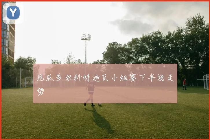 厄瓜多尔科特迪瓦小组赛下半场走势