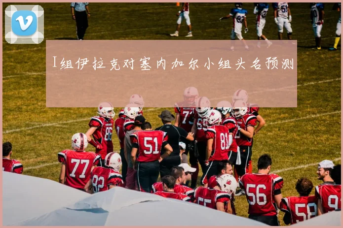 I组伊拉克对塞内加尔小组头名预测