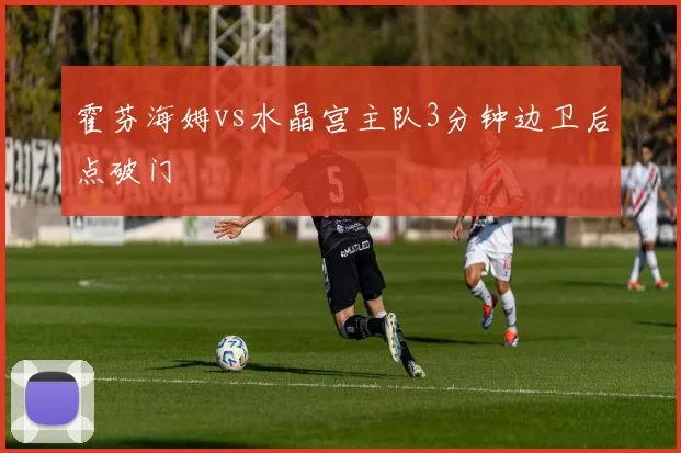 霍芬海姆vs水晶宫主队3分钟边卫后点破门