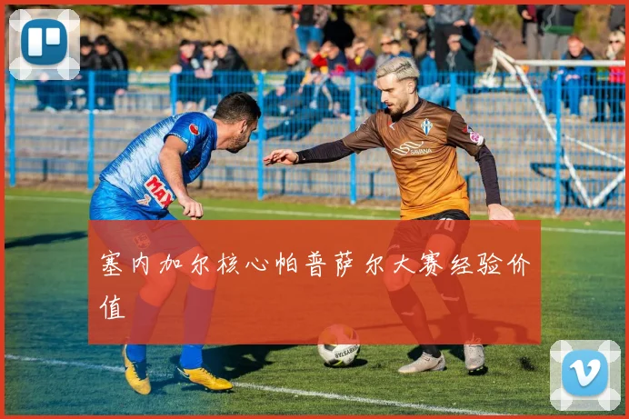 塞内加尔核心帕普萨尔大赛经验价值