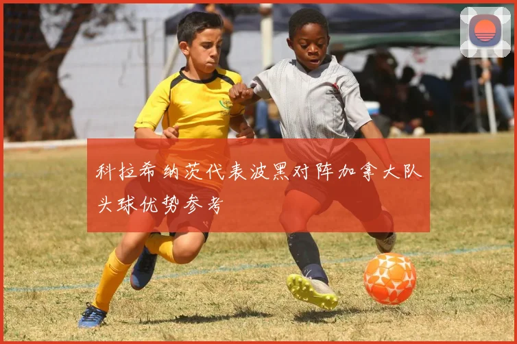 科拉希纳茨代表波黑对阵加拿大队头球优势参考